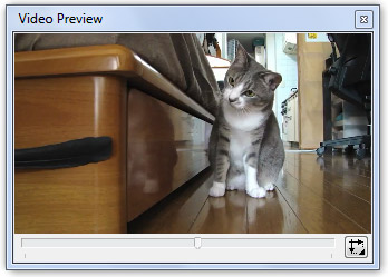 Video Preview Window