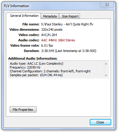 FLV Information Dialog