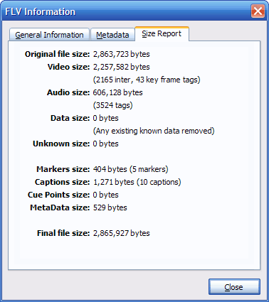 FLV Information Dialog